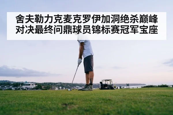 舍夫勒力克麦克罗伊加洞绝杀巅峰对决最终问鼎球员锦标赛冠军宝座