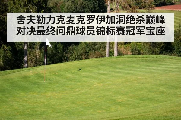 golf green flagstick