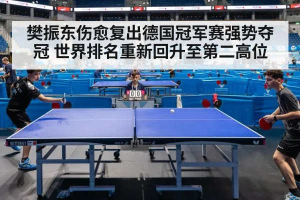 樊振东伤愈复出德国冠军赛强势夺冠 世界排名重新回升至第二高位